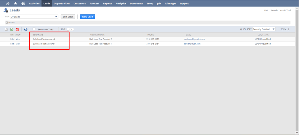 Maximizing Efficiency: A Guide to Bulk Lead Upload in NetSuite