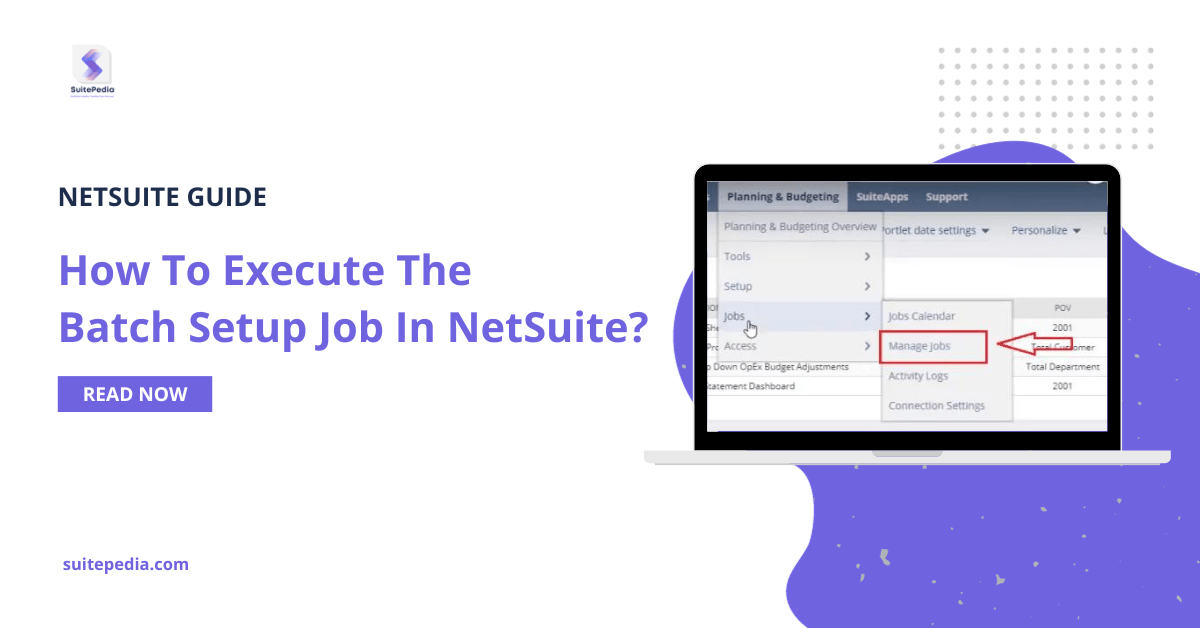 How to execute batch setup job in Netsuite