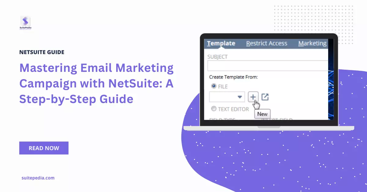 Email-Marketing-Campaign-with-NetSuite